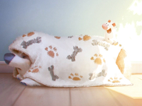 Lynn Chen best cute works