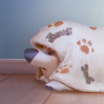 Lynn Chen best cute works