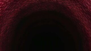 In`youchuu Etsu: Kairaku Henka Taimaroku 2