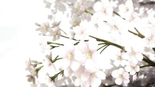 Hybrid Teens / ハイブリッドチャイルド OVA3 ENG SUB