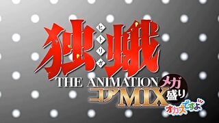 Hitoriga The Animation MIX