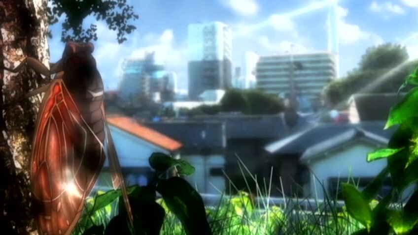 Netorare: Tanabe Yuuka no Dokuhaku Hentai Online HD