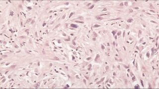 Urotsukidoji: New Saga ep1 ENG