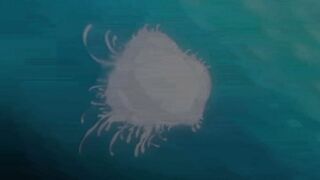 Boy Meets Harem The Animation