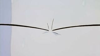 Houma Hunter Lime ep3