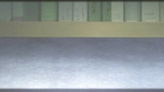 Otome Dori / オトメドリ ep2