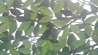 Mellow / Merou  ENG SUB