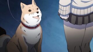 1LDK + JK Ikinari Doukyo? ... ep3