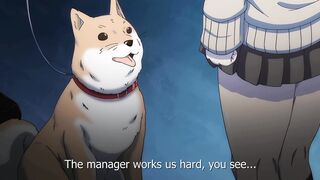 1LDK + JK Ikinari Doukyo? ... ep3 ENG SUB