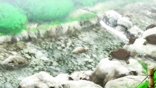 Futari Ecchi OVA-2 ep1 IT SUB