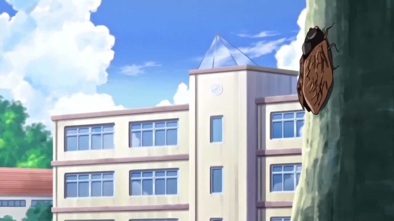 Nama lo re furachimono the animation