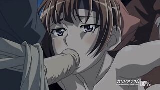 Samurai Hormone The Animation