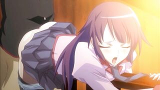 IRO Monogatari vol.1 - H*ragi / 色物語vol.1 ひ○ぎ編