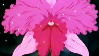 Pink no Curtain / ピンクのカーテン