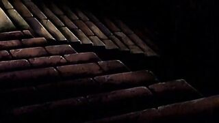 Kara no Naka no Kotori / 殻の中の小鳥 ep1