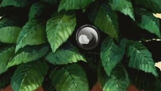 Распутные сестры Immoral Sisters 1 ep2 RUS