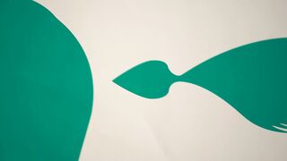 Es rappelt im Karton