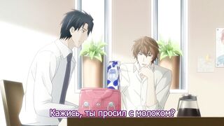 Sekaiichi Hatsukoi Movie OVA RUS SUB
