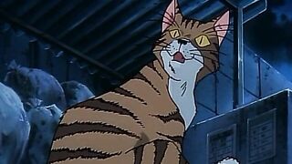 Love is a Dog from Hell MV