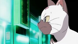 Lingerie Senshi Papillon Rose