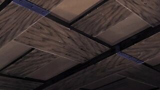 Viper RSR / VIPER-RSR