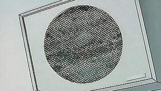 Elf ban Kakyuusei... ep1 RUS SUB