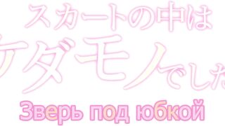 Skirt no Naka wa Kedamono Deshita ep12 RUS SUB