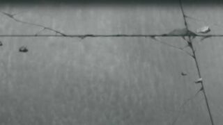 Cambrian / カンブリアン ep1