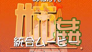 Anekan 姉姦