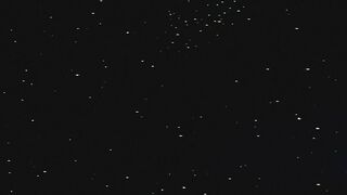 Cleopatra クレオパトラ