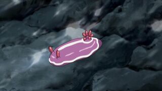 15 Bishoujo Hyouryuuki ep3 RUS SUB