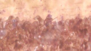 Youkou no Ken 妖香の剣 ep1