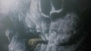 Голго-13: Королева пчел Golgo 13: Queen Bee RUS