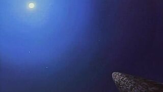 Youjuu Kyoushitsu Gaiden ep4 RUS SUB