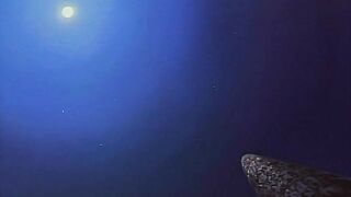 Youjuu Kyoushitsu Gaiden 妖獣教室外伝 ep4