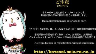 Dame! Zettai! 3 ダメ!ぜったい!! 惨 Full HD