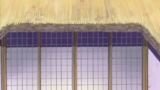 Injuu Gakuen: Fukkatsu Hen ep1 ENG SUB