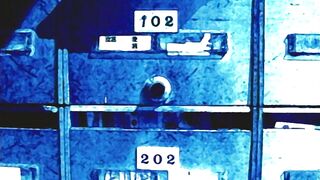 Fujun Isei Kouyuu: Taisetsu na Kimi e