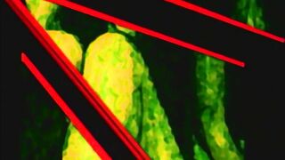 Fujun Isei Kouyuu: Taisetsu na Kimi e