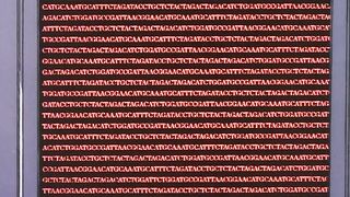 Святотатство / Rejuvenation ep2 RUS DUB