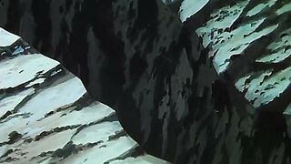 Injuu Daikessen 淫獣大決戦