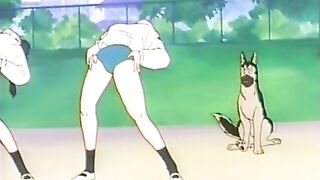 Kennel Tokorozawa / ケンネル所沢