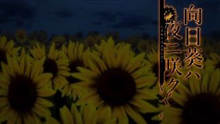 THimawari wa Yoru ni Saku 向日葵ハ夜ニ咲ク