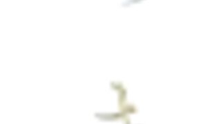 Himitsu no Kichi ひみつのきち ep1