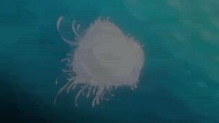 Boy Meets Harem The Animation ITA SUB