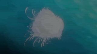 Boy Meets Harem The Animation SPA SUB