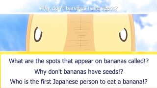 Usamimi Bouken-tan ep1 ENG SUB