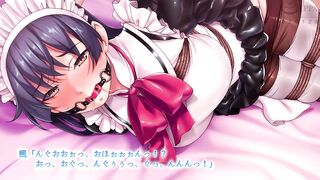 Pichipichi chakui seiheki The motion anime